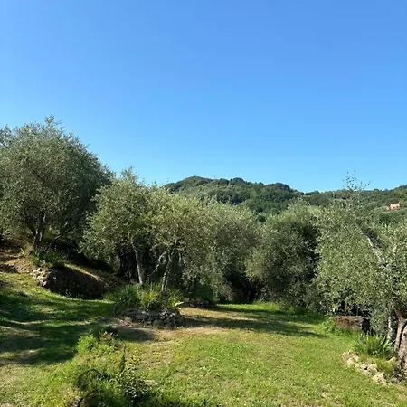 Le Capanne Di Torre * Лукка